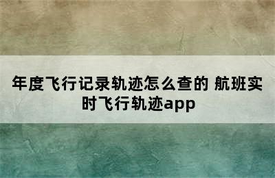 年度飞行记录轨迹怎么查的 航班实时飞行轨迹app